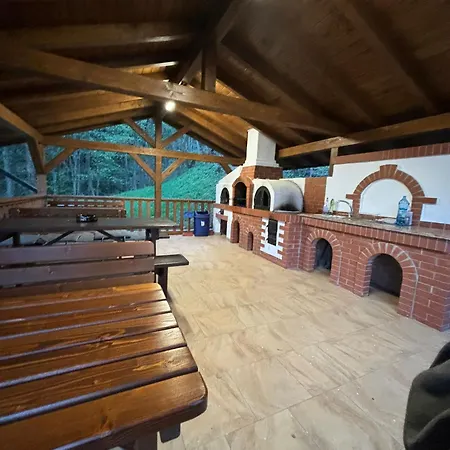 Linistea Codrului Penzion Borşa